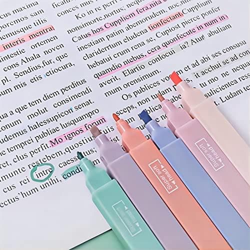 12 Stück Pastell Dual Tips Highlighter Pen Marker Assorted Farben - perfekt für Hervorheben in Tagebuch und Notizbuch -